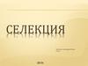Селекция. Методы селекции