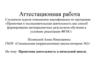 Аттестационная работа. Проектная деятельность в начальной школе