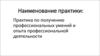 Практика по получению профессиональных умений и опыта профессиональной деятельности
