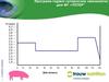 Програма годівлі супоросних свиноматок для ФГ «ПІТЄР"
