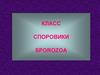 Класс Споровики (sporozoa)