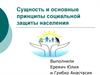 Сущность и основные принципы социальной защиты населения