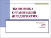 Экономика организации (предприятия)
