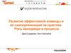 Развитие эффективной команды и ее самоорганизация на практике. Роль менеджера в процессе. Vizor Interactive