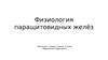 Физиология паращитовидных желёз