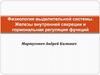 Физиология выделительной системы. Железы внутренней секреции и гормональная регуляция функций