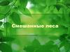Смешенные леса