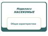 Надкласс насекомые. Общая характеристика