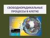 Свободнорадикальные процессы в клетке