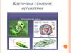 Клеточное строение организмов