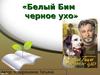 Троепольский Гавриил Николаевич. "Белый Бим черное ухо"