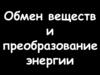 Обмен веществ и преобразование энергии