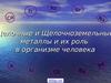 Щелочные и щелочноземельные металлы и их роль в организме человека