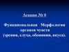 Функциональная морфология органов чувств. Зрения, слуха, обоняния, вкуса. (Лекция 8)