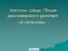 Воздействие экологических факторов на организмы