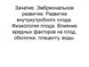 Зачатие. Эмбриональное развитие. Развитие внутриутробного плода. Физиология плода. Влияние вредных факторов на плод