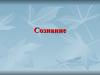Сознание. Формирование сознания
