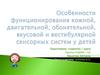 Особенности функционирования кожной, двигательной, обонятельной, вкусовой и вестибулярной сенсорных систем у детей