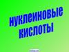Нуклеиновые кислоты