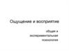 Ощущение и восприятие. Общая и экспериментальная психология