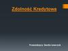 Zdolność Kredytowa