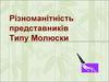 Різноманітність представників типу молюски