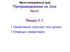 Программирование на языке Java. Примитивные типы данных. Операции, комментарии. (Лекция 2.1)