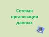 Сетевая организация данных