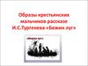 Образы крестьянских мальчиков в рассказе И. С. Тургенева « Бежин луг»