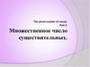 Множественное число существительных