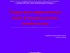 Характер современных войн и вооруженных конфликтов