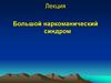 Большой наркоманический синдром