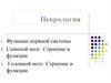 Неврология. Функции нервной системы. Спинной и головной мозг. Строение и функции