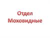 Отдел Моховидные