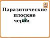 Паразитические плоские черви