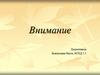 Внимание. Виды внимания