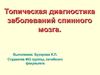 Спинной мозг. Топическая диагностика заболеваний.