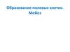 Образование половых клеток. Мейоз