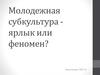 Молодежные субкультуры