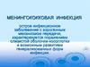 Менингококковая инфекция