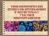 Типы биохимических процессов, протекающих в экосистемах с участием микроорганизмов