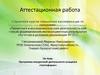Аттестационная работа. Программа внеурочной деятельности учащихся «Светофорик»