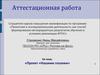 Аттестационная работа. Проект «Нашими глазами»