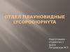 Отдел Плауновидные Lycopodiophyta