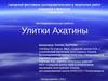 Улитки Ахатины - исследовательская работа