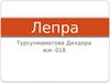 Лепра: жоспар, этиологиясы, эпидемиологиясы, патогенезі, клиникасы
