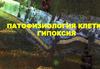 Патофизиология клетки. Гипоксия