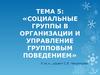 Социальные группы в организации и управление групповым поведением. (Тема 5)
