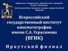 Всероссийский государственный институт кинематографии имени С. А. Герасимова (ВГИК)