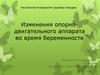 Изменения опорно-двигательного аппарата во время беременности
